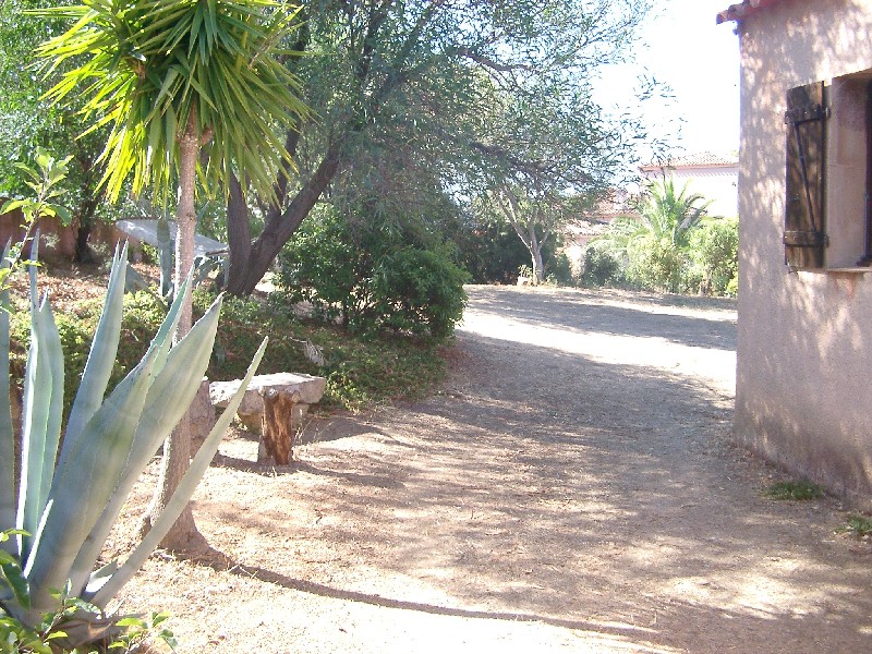 corse location sagone