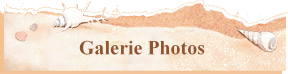 Galerie Photos