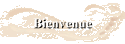 Bienvenue